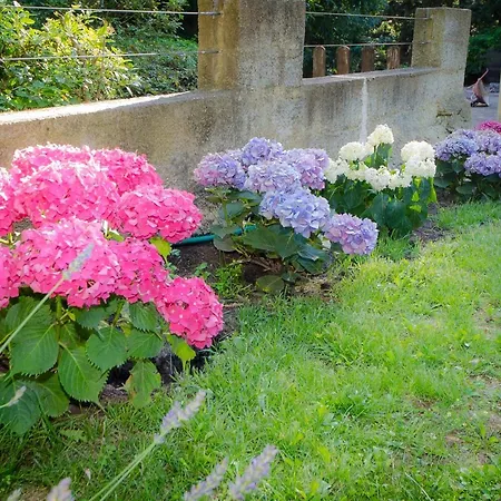 La Jourdane Saint-Alexandre
